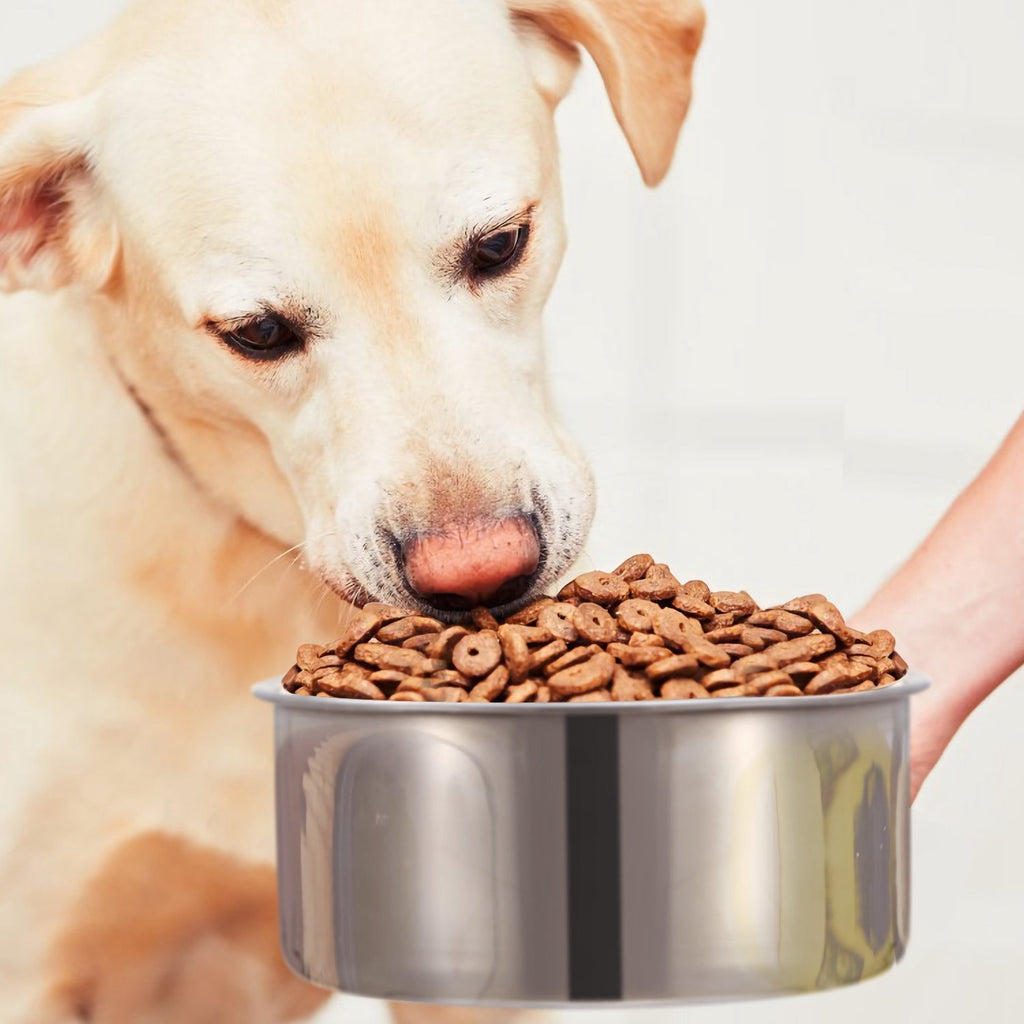 1Pc M Size Stainless Steel Dog Bowl Pets Hanging Food Bowl Detachable